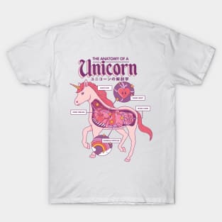 The Anatomy of a Unicorn T-Shirt